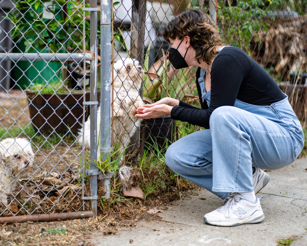 Cecilia Senocak, wearing a black KN95 mask, kneels beside a fence, holding hands/paws through the fence with a little scruffy white terrier on the other side. Photo by Brian Ringo, 2023.