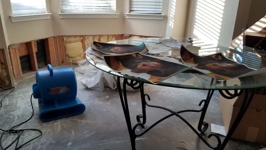 Photo of a living room with gray carpet with water damage. A glass dining table has a series of prints that are warped at the corners from water damage. A blue piece of equipment is plugged in the wall. In the back, the drywall of a wall is exposed showing slats of wood and insulation.