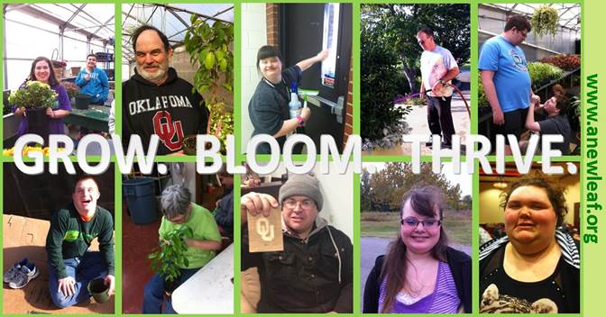 Image of 8 individuals in doing various activities with plants and horticulture. The text reads: GROW. BLOOM. THRIVE.