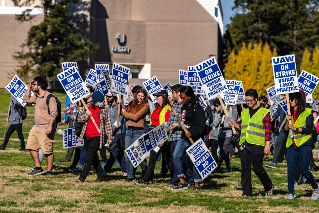 A group of UAW strikers holding pickets marches across the bumpy, wheelchair-inaccessible grass field at Hutchinson and La Rue at UC Davis. None of them are wearing masks or practicing COVID-safe behavior. Photo credit: Brian Ringo 2022