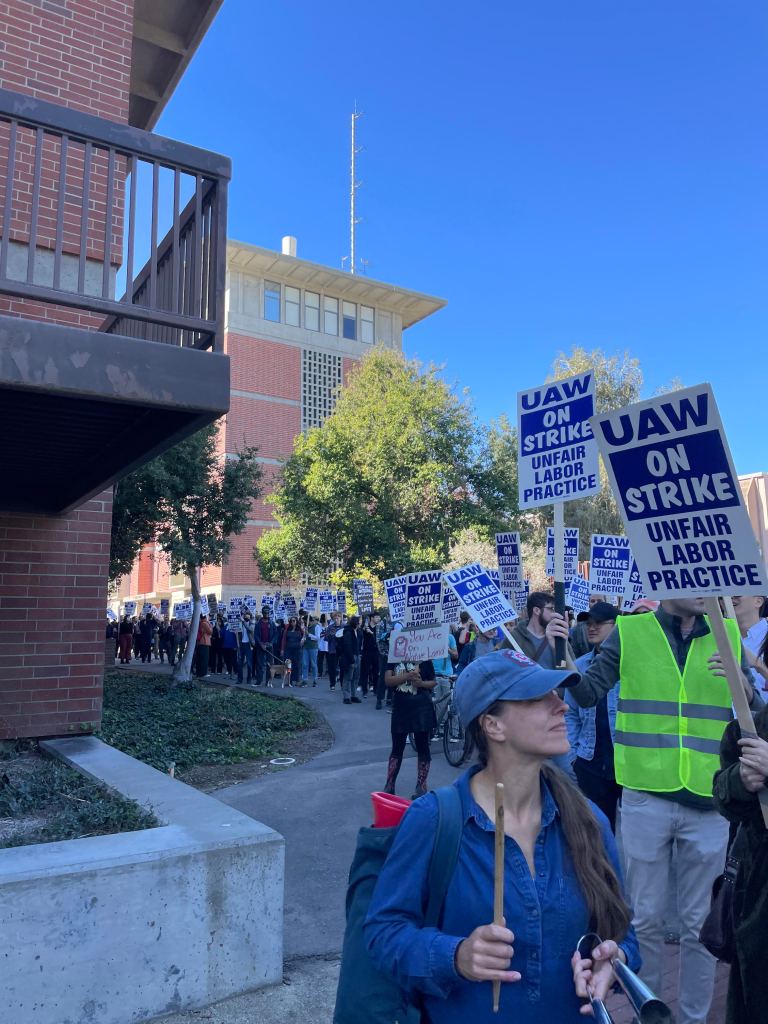 Strikers carrying "UAW: On Strike: Unfair Labor Practice" picket signs stretch in a massive, crowded line on UC Davis campus. Not an N95 mask in sight. Photo by Heather Ringo. 2022.