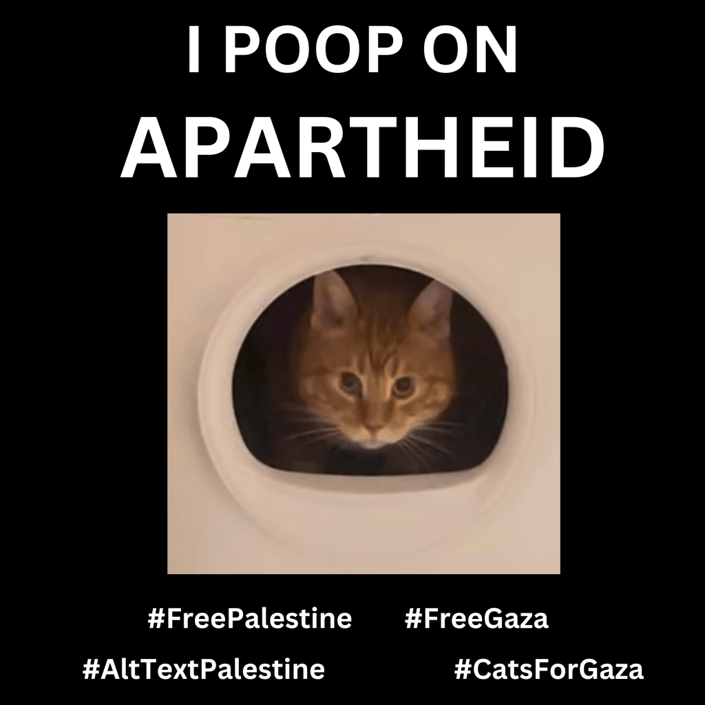 Graphic with a black background with a photo of Ernie, an orange cat peering out of a white litter box with a haunting expression. Large text in white reads, I POOP ON APARTHEID. Below are hashtags: #FreePalestine #FreeGaza #AltTextPalestine #CatsForGaza