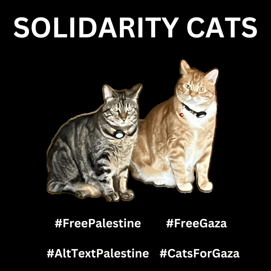 Graphic with a black background with a photo of Bert, a brown tabby on the left who is next to Ernie, an orange cat. They are both staring intently with laser-focused eyes. Large text in white reads, SOLIDARITY CATS. Below are hashtags: #FreePalestine #FreeGaza #AltTextPalestine #CatsForGaza