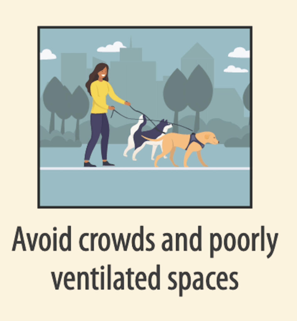 Informational graphic from the CDC. The text message is “Avoid crowds and poorly ventilated spaces.” The stylized image is of a woman wearing a mask and walking two dogs outside on leashes. She is alone with the dogs.