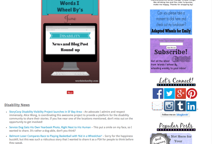 Screen shot from Emily Ladau's blog: http://wordsiwheelby.com/2014/06/june-disability-news-blog-round-up/