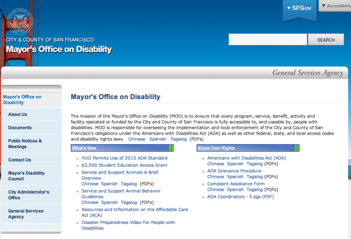 Screen shot from the Mayor's Office on Disability website