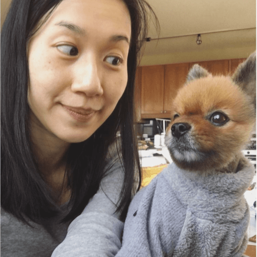 A Taiwanese woman with black shoulder length hair and a grey shirt, side-eyeing a teddy-bear looking Pomeranian who dresses in a grey turtleneck sweater.