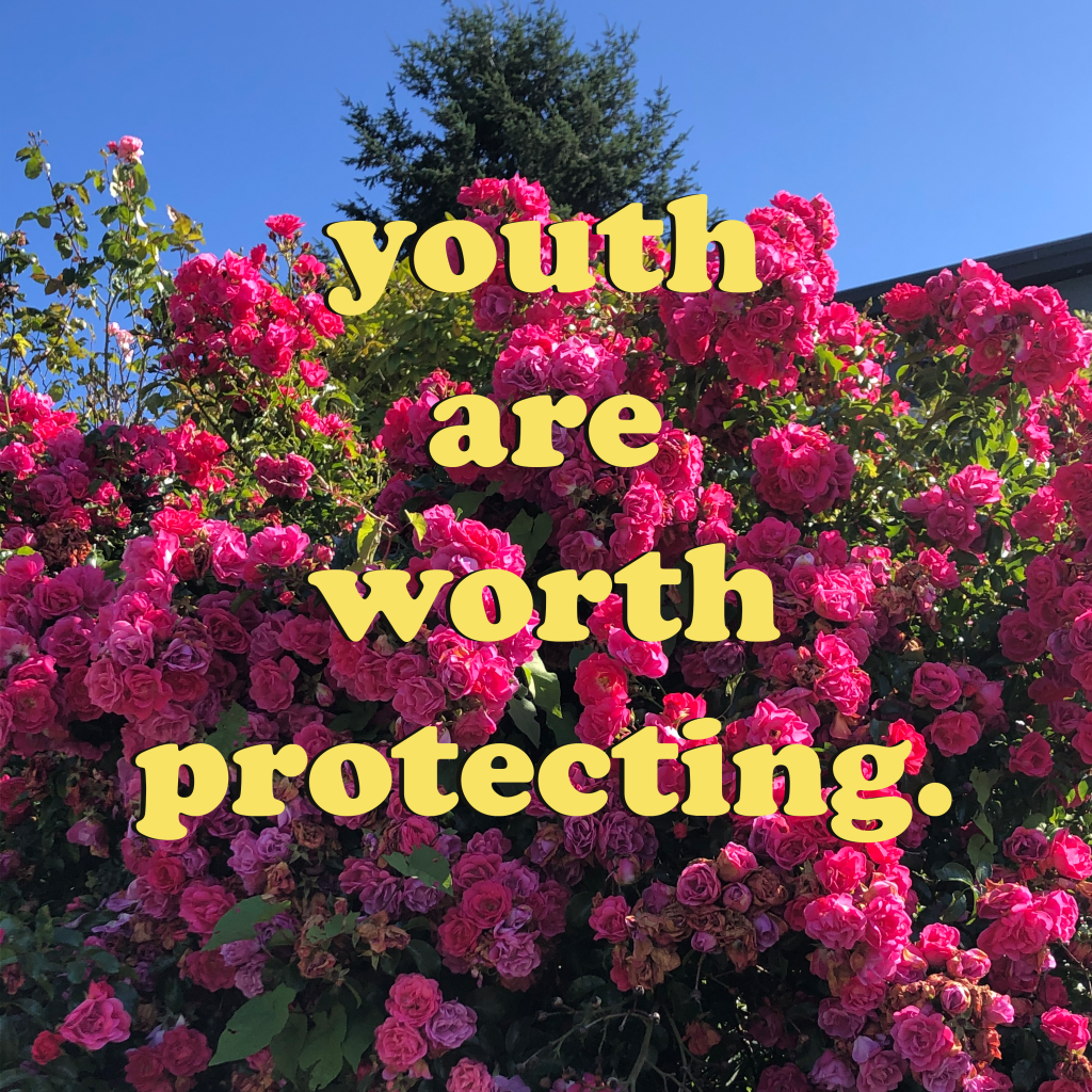 An image of a pink rose bush blooming against green leaves, a coniferous dark green tree, and a blue sky with the letters "youth are worth protecting" in yellow in Cooper Black font with a slight black shadow. Artist credit: Jane Shi